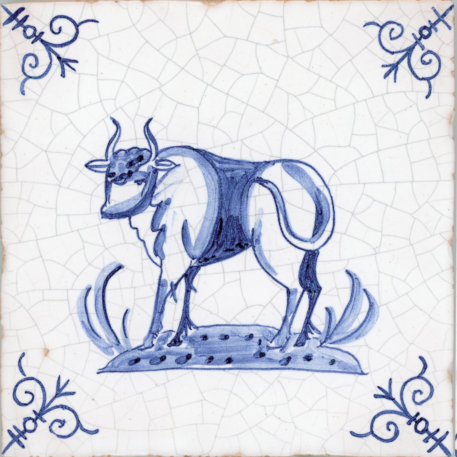bull