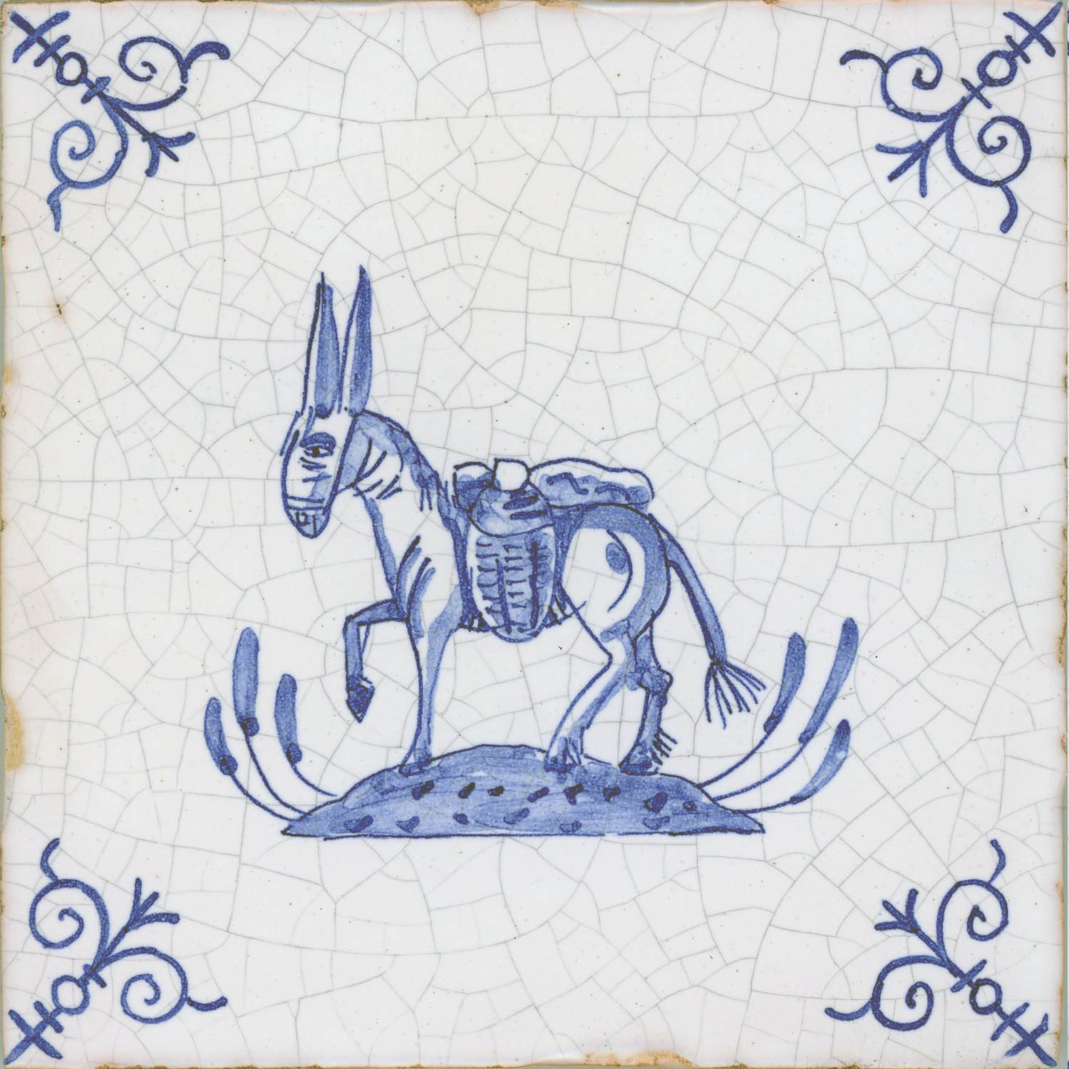 Donkey.